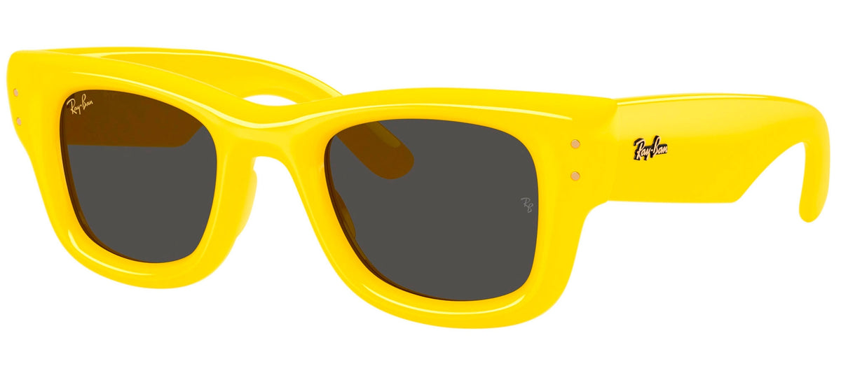 Ray-Ban Sun Collection RB4940 WAYFARER PUFFER