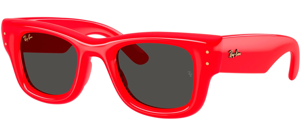 Ray-Ban Sun Collection RB4940 WAYFARER PUFFER