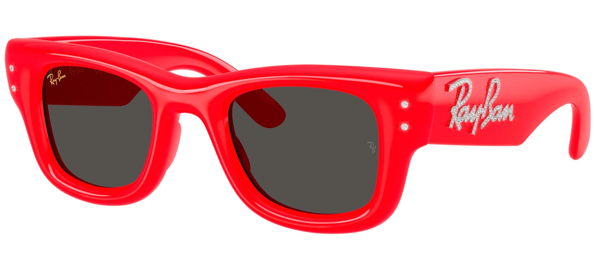 Ray-Ban Sun Collection RB4940B WAYFARER PUFFER