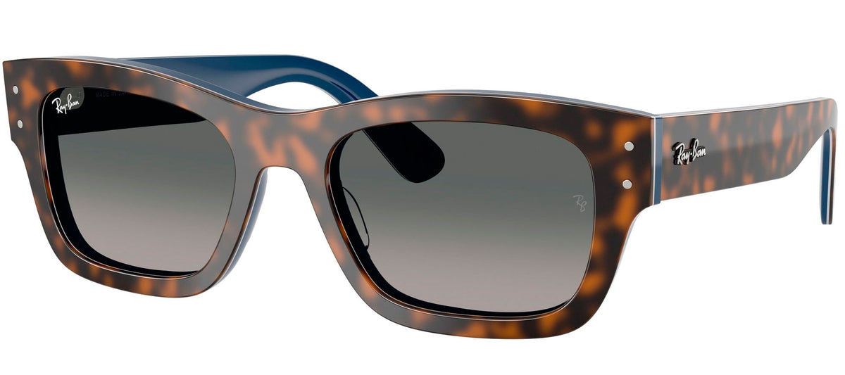 Ray-Ban Sun Collection RB7683S JOSEPH