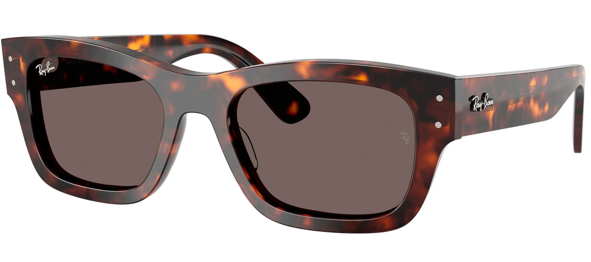 Ray-Ban Sun Collection RB7683S JOSEPH