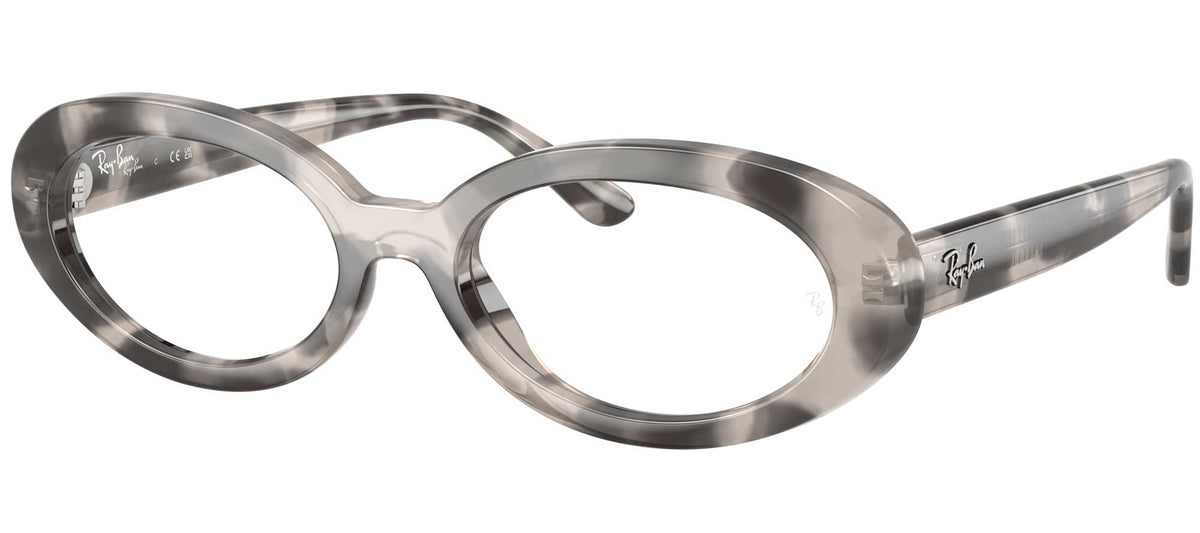 Ray-Ban RX2223V