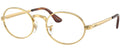 Ray-Ban RX3931V