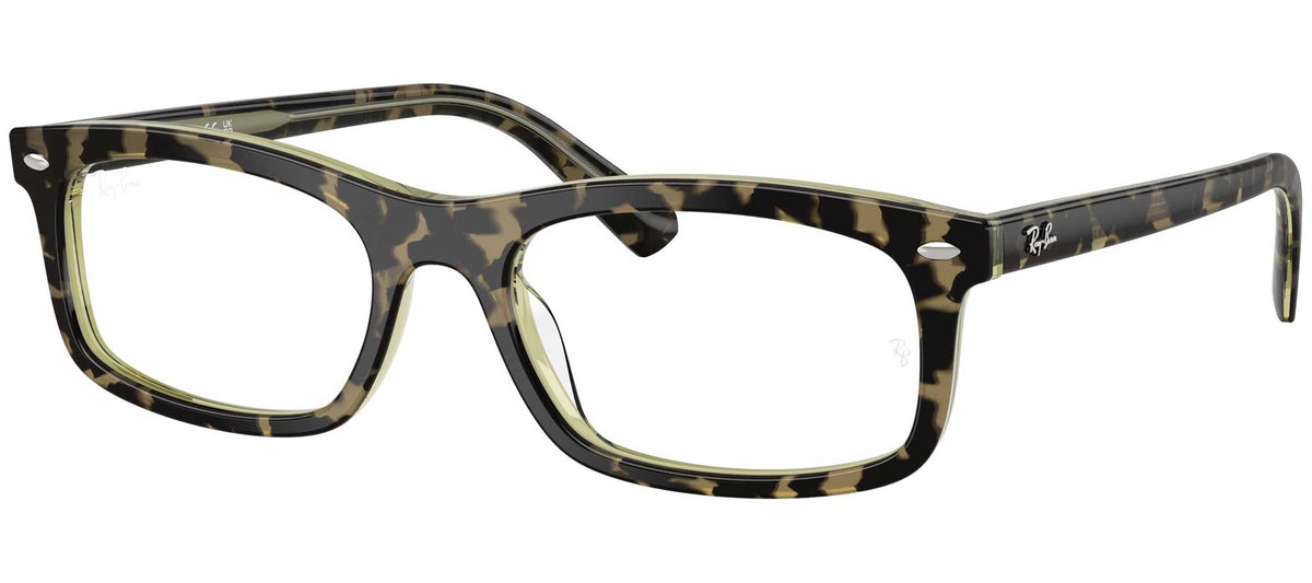Ray-Ban RX5450