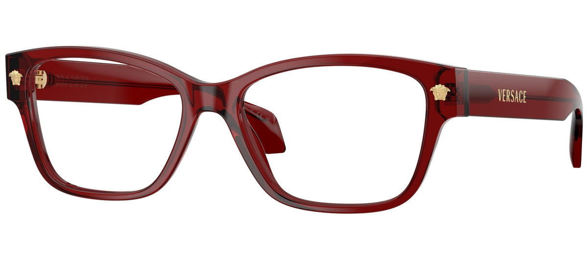 Versace VE3392