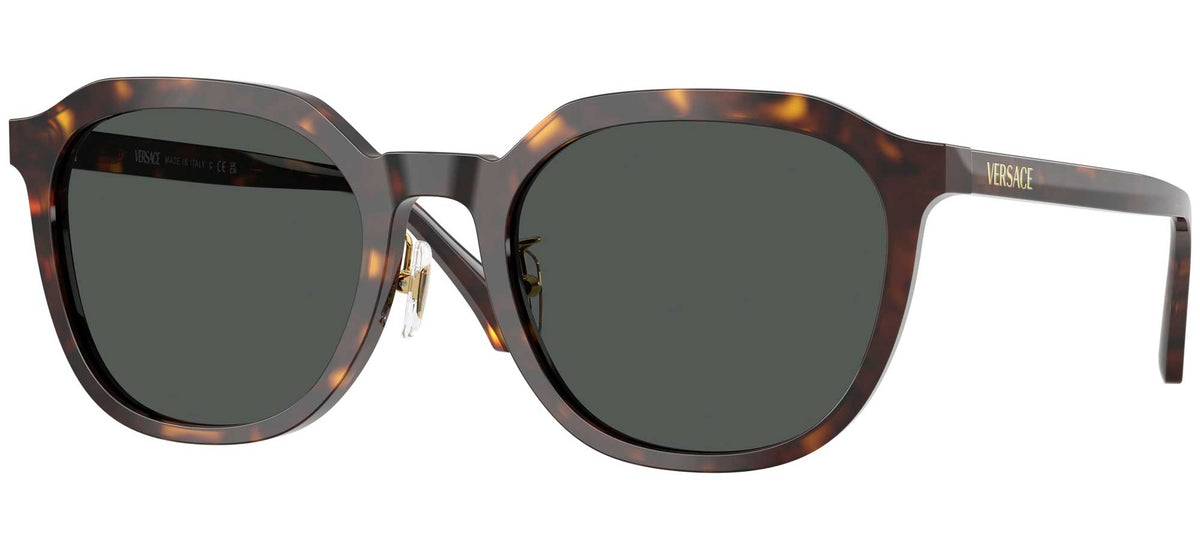 Versace VE4493D
