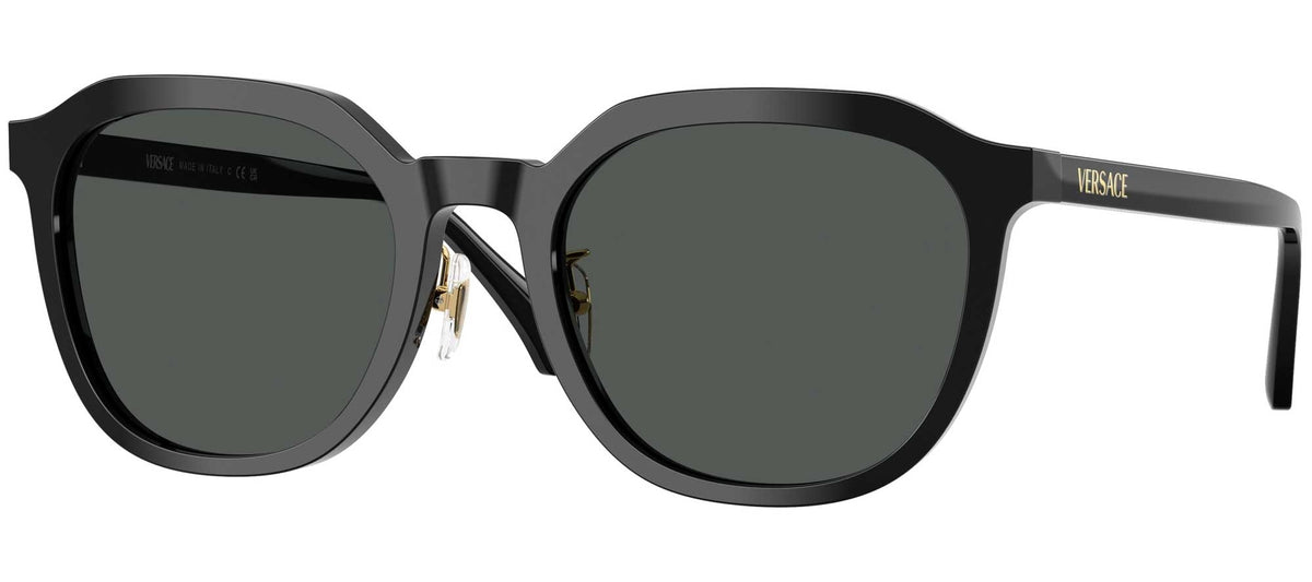 Versace VE4493D