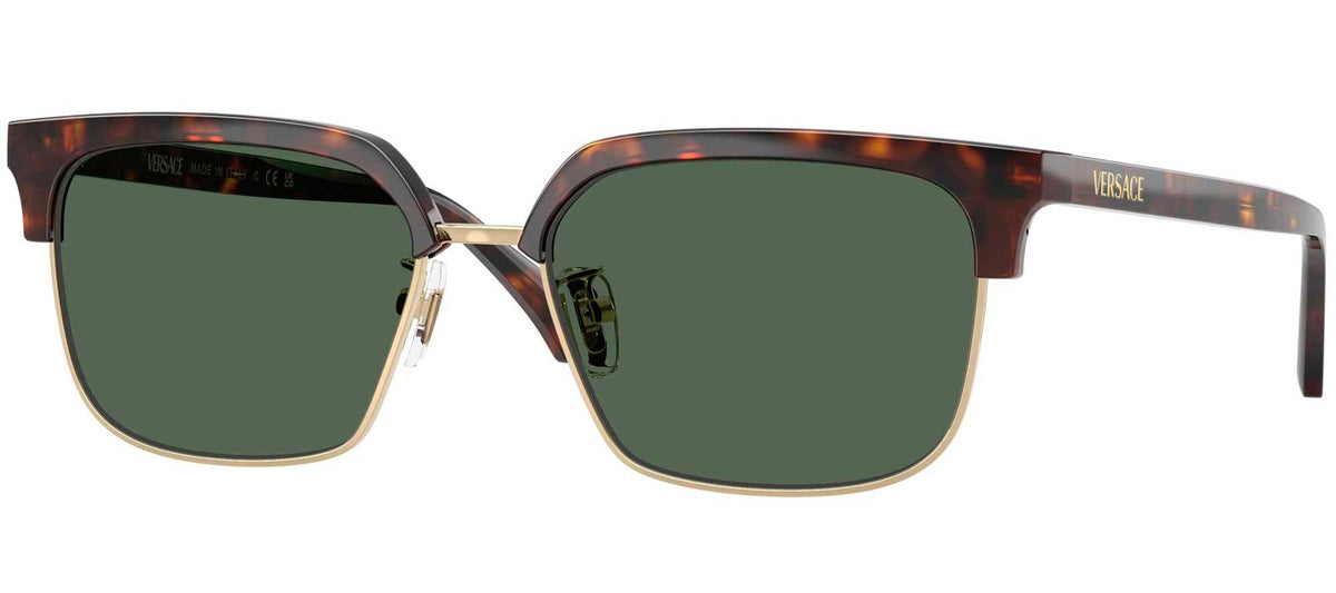 Versace VE4494D