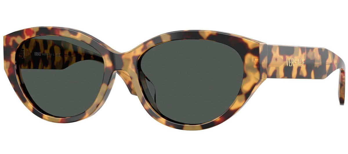 Versace VE4495D