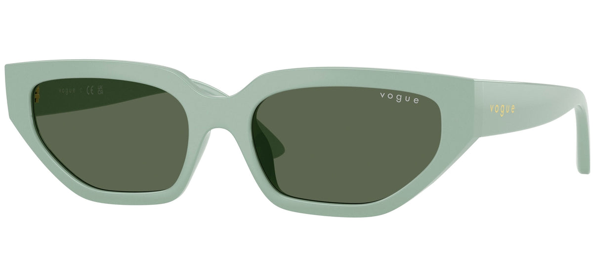 Vogue eyewear VJ2029
