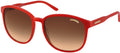Carrera ANDY