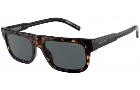 Gafas de Sol - Arnette - AN4278 GOTHBOY - 120187 HAVANA // DARK GREY
