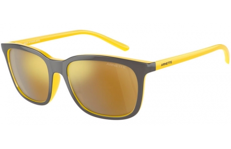 Sunglasses - Arnette - AN4316 C'ROLL - 28815A  GREY // GOLD MIRROR