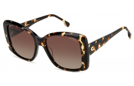 Gafas de Sol - Carrera - CARRERA 3030/S - WR9 (LA) HAVANA BROWN // BROWN GRADIENT POLARIZED