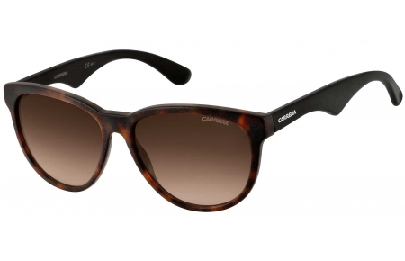 Gafas de Sol - Carrera - CARRERA 6004 - 4NC (HA) HAVANA BLACK // BROWN GRADIENT