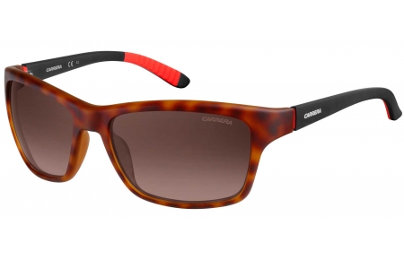 Gafas de Sol - Carrera - CARRERA 8013/S - 6XV (LA) HAVANA BLACK // BROWN GRADIENT POLARIZED
