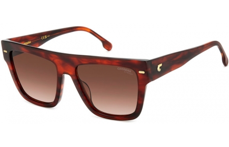 Lunettes de soleil - Carrera - CARRERA 3016/S - EX4 (HA) BROWN HORN // BROWN GRADIENT