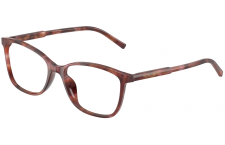 Monturas - Dolce & Gabbana - DG3424 - 3444  HAVANA BROWN