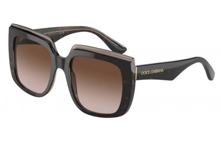 Gafas de Sol - Dolce & Gabbana - DG4414 - 502/13 HAVANA ON BROWN TRANSPARENT // BROWN GRADIENT