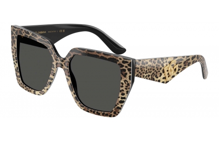 Gafas de Sol - Dolce & Gabbana - DG4438 - 316387  LEOPARD BROWN ON BLACK // DARK GREY