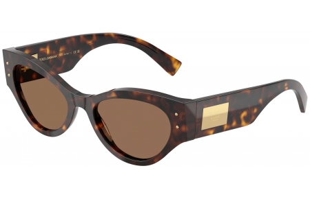 Gafas de Sol - Dolce & Gabbana - DG4480 - 502/73 HAVANA // DARK BROWN