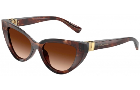 Gafas de Sol - Dolce & Gabbana - DG4497 - 322274  HAVANA DARK RED // BROWN GRADIENT