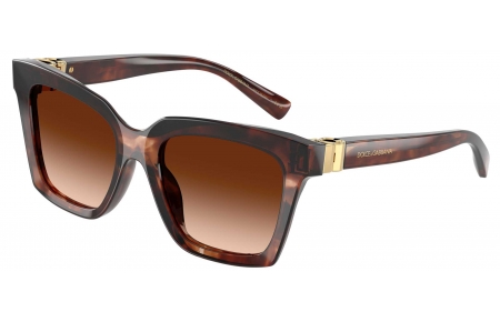 Gafas de Sol - Dolce & Gabbana - DG4498 - 322274  HAVANA DARK RED // BROWN GRADIENT