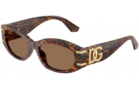Gafas de Sol - Dolce & Gabbana - DG4502 - 347073  TRANSPARENT LEOPARD // DARK BROWN