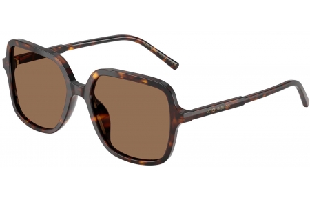 Gafas de Sol - Dolce & Gabbana - DG4539 - 502/73 HAVANA // DARK BROWN