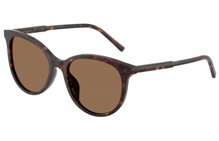 Gafas de Sol - Dolce & Gabbana - DG4540 - 502/13 DARK HAVANA // DARK BROWN