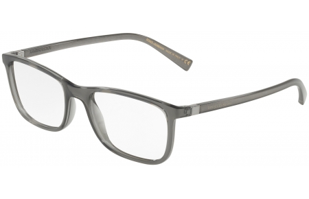 Monturas - Dolce & Gabbana - DG5027 - 3160 TRANSPARENT GREY