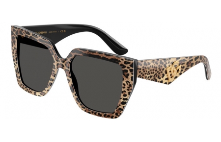 Gafas de Sol - Dolce & Gabbana - DG4438 - 316387  LEOPARD BROWN ON BLACK // DARK GREY