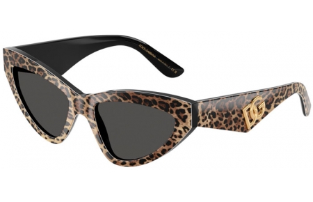 Gafas de Sol - Dolce & Gabbana - DG4439 - 316387  LEOPARD BROWN ON BLACK // DARK GREY