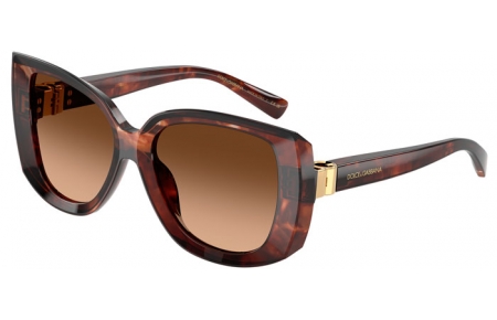 Gafas de Sol - Dolce & Gabbana - DG4495 - 322274  HAVANA DARK RED // BROWN GRADIENT