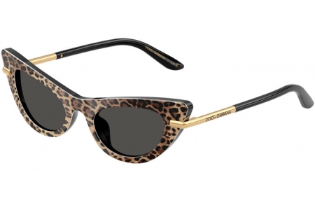 Gafas Junior - Dolce & Gabbana Junior - DX4008 - 316397  LEOPARD BROWN ON BLACK // DARK GREY