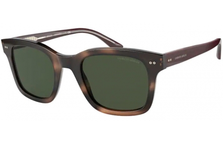 Sunglasses - Giorgio Armani - AR8138 - 573431 STRIPED DARK BROWN // GREEN