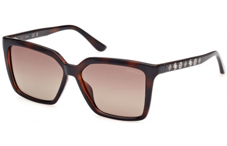 Sunglasses - Guess - GU00099 - 52H  DARK HAVANA // BROWN POLARIZED