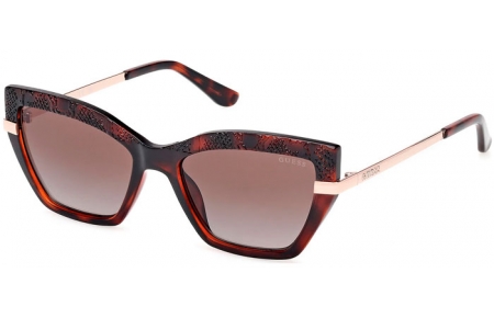 Gafas de Sol - Guess - GU00216 - 52F  DARK HAVANA // BROWN GRADIENT