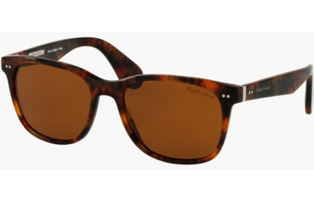 Sunglasses - Ralph Lauren - RL8162P - 501753 HAVANA JERRY // BROWN