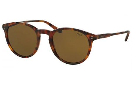Sunglasses - POLO Ralph Lauren - PH4110 - 501773 SHINY HAVANA JERRY // OLIVEN GREEN