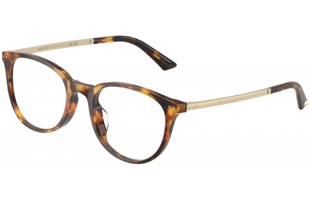 Monturas - Jimmy Choo - JC3055D - 5110  BROWN TORTOISE