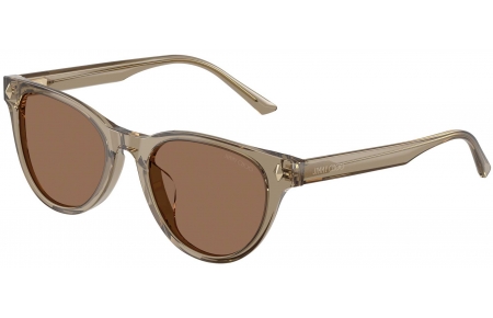 Gafas de Sol - Jimmy Choo - JC5043D - 505173  TRANSPARENT BROWN // DARK BROWN