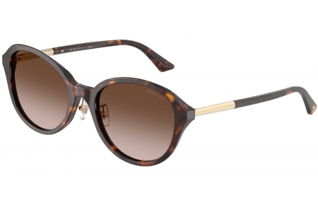 Gafas de Sol - Jimmy Choo - JC5044D - 500213  DARK HAVANA // BROWN GRADIENT