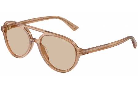 Gafas de Sol - Jimmy Choo - JC5055U - 507693  TRANSPARENT TAN // LIGHT BROWN