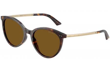 Gafas de Sol - Jimmy Choo - JC5060 - 500283  HAVANA // DARK BROWN POLARIZED