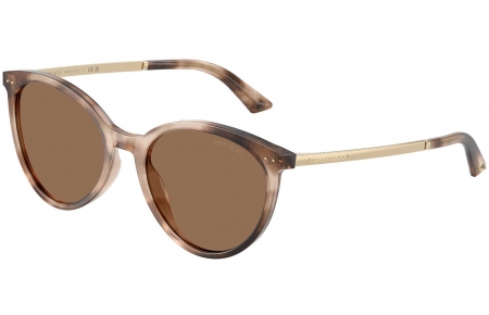 Gafas de Sol - Jimmy Choo - JC5060 - 509773  LIGHT HAVANA // DARK BROWN