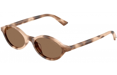 Gafas de Sol - Jimmy Choo - JC5068U - 509773  HAVANA CHAI // DARK BROWN