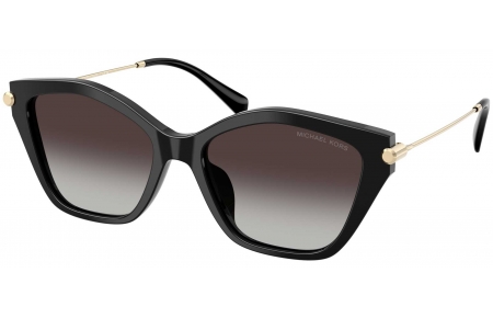 Gafas de Sol - Michael Kors - MK2246U CATSKILLS - 30058G  BLACK // DARK GREY GRADIENT