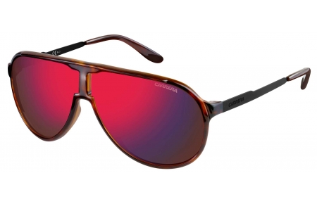 Gafas de Sol - Carrera - NEW CHAMPION - LAO (BJ) HAVANA BLACK // DARK BROWN INFRARED