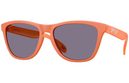 Gafas de Sol - Oakley - FROGSKINS OO9013 - 9013-M1 MATTE GINGER // PRIZM GREY
